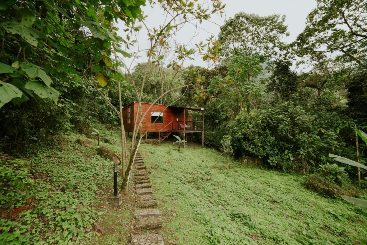 Coffee & Adventure Hotel By La Palma Y El Tucan Zipacon 외부 사진