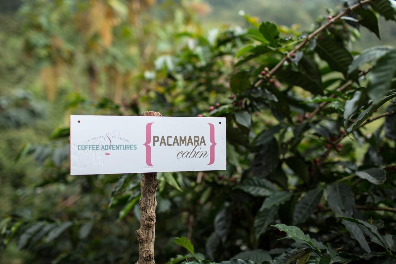 Coffee & Adventure Hotel By La Palma Y El Tucan Zipacon 외부 사진
