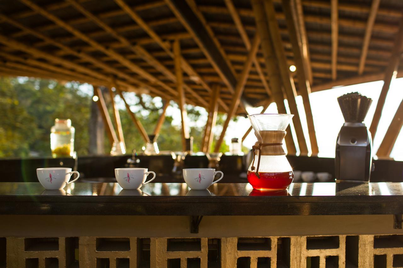 Coffee & Adventure Hotel By La Palma Y El Tucan Zipacon 외부 사진