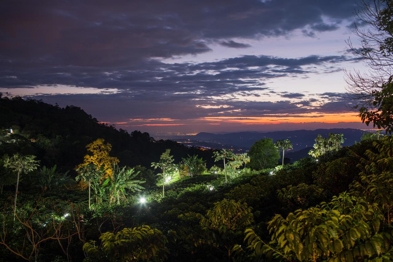 Coffee & Adventure Hotel By La Palma Y El Tucan Zipacon 외부 사진