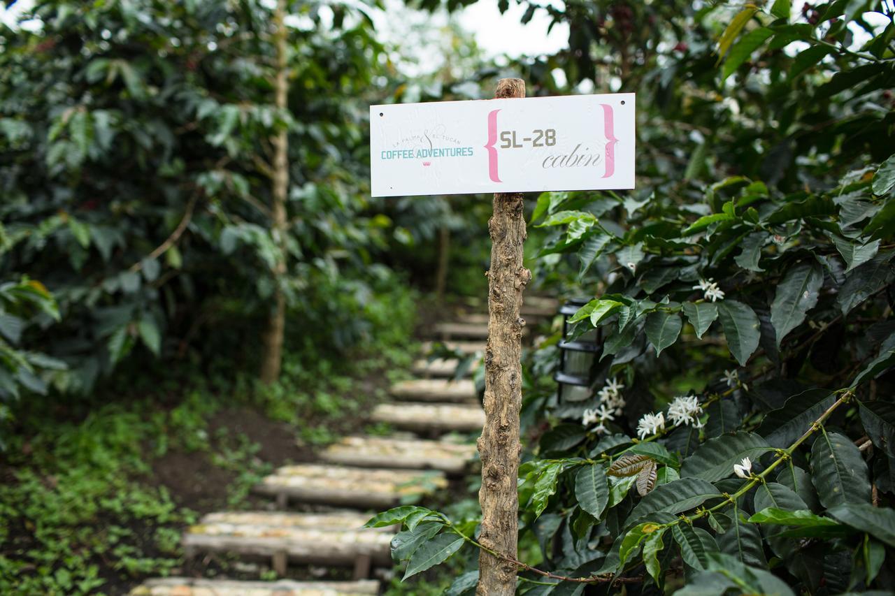 Coffee & Adventure Hotel By La Palma Y El Tucan Zipacon 외부 사진