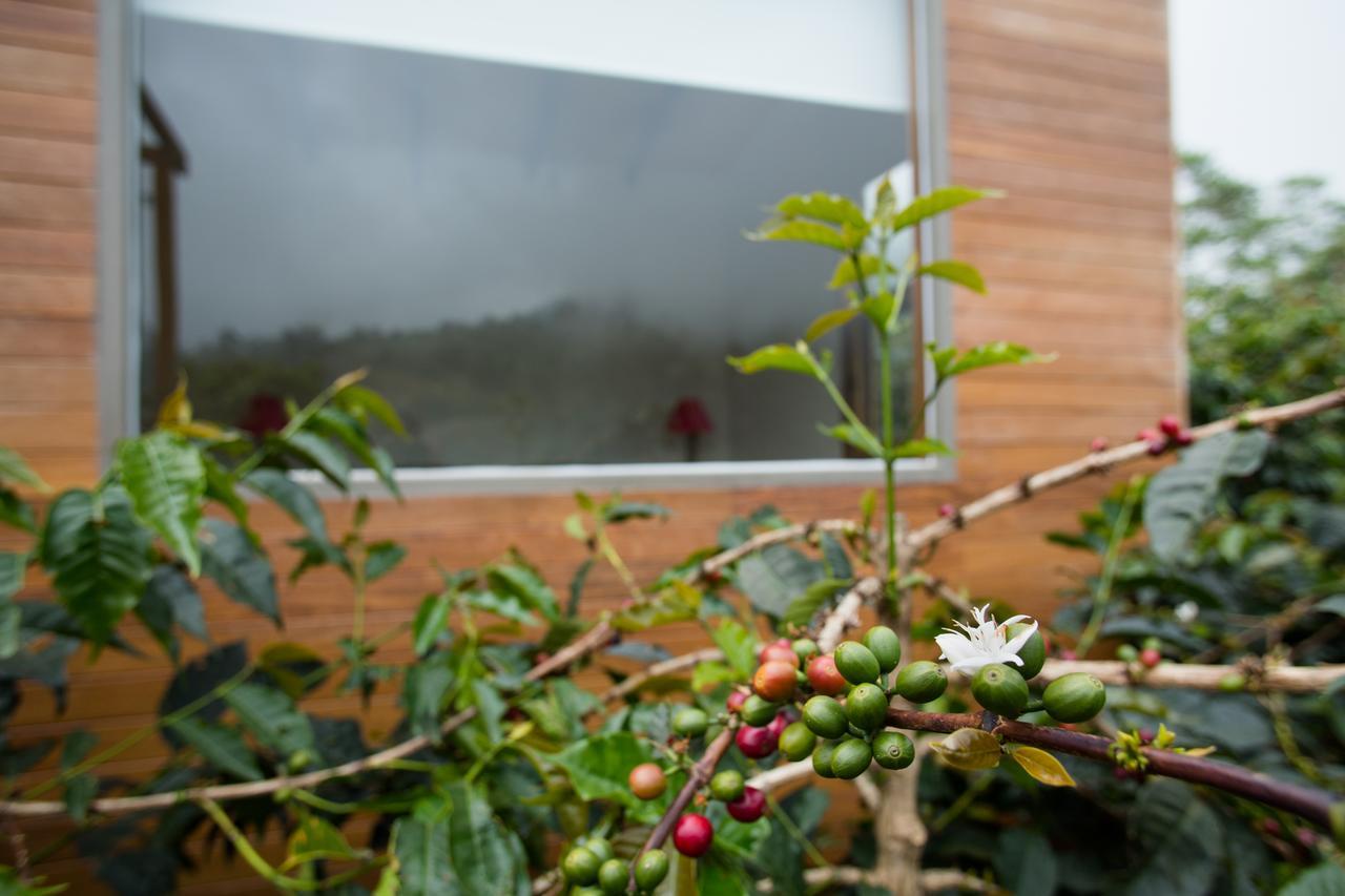 Coffee & Adventure Hotel By La Palma Y El Tucan Zipacon 외부 사진
