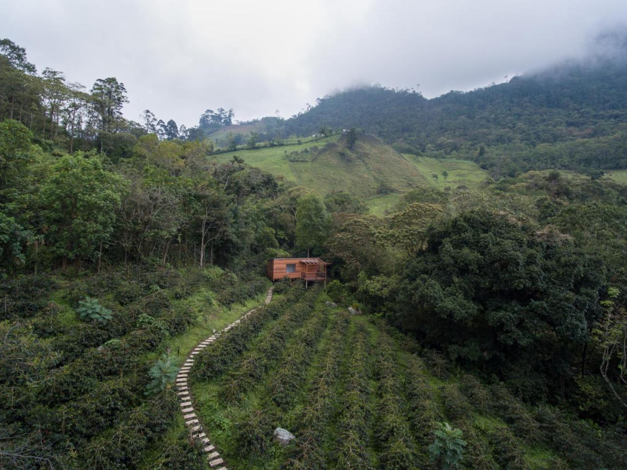Coffee & Adventure Hotel By La Palma Y El Tucan Zipacon 외부 사진