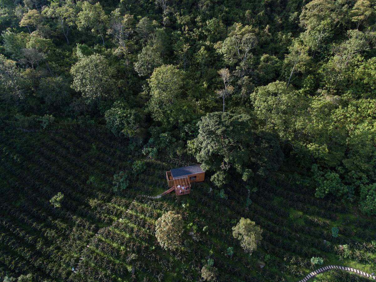 Coffee & Adventure Hotel By La Palma Y El Tucan Zipacon 외부 사진