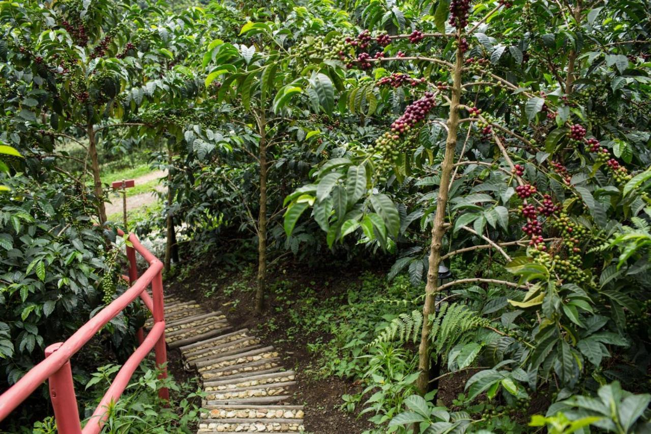 Coffee & Adventure Hotel By La Palma Y El Tucan Zipacon 외부 사진