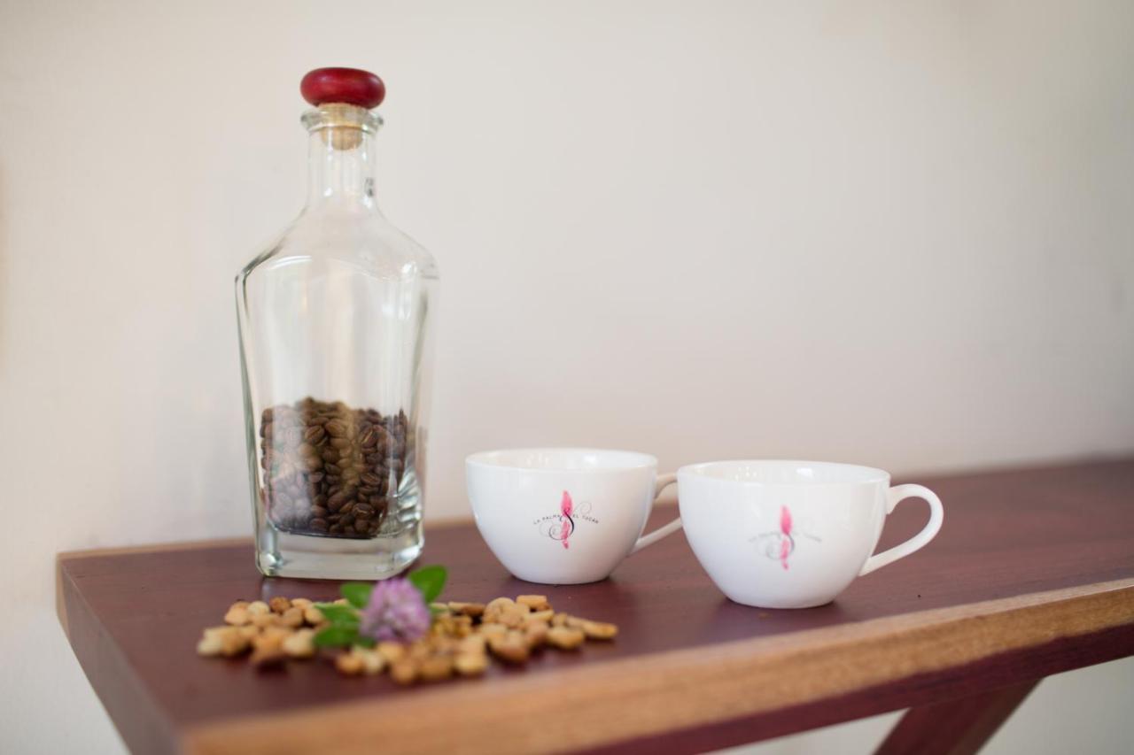 Coffee & Adventure Hotel By La Palma Y El Tucan Zipacon 외부 사진